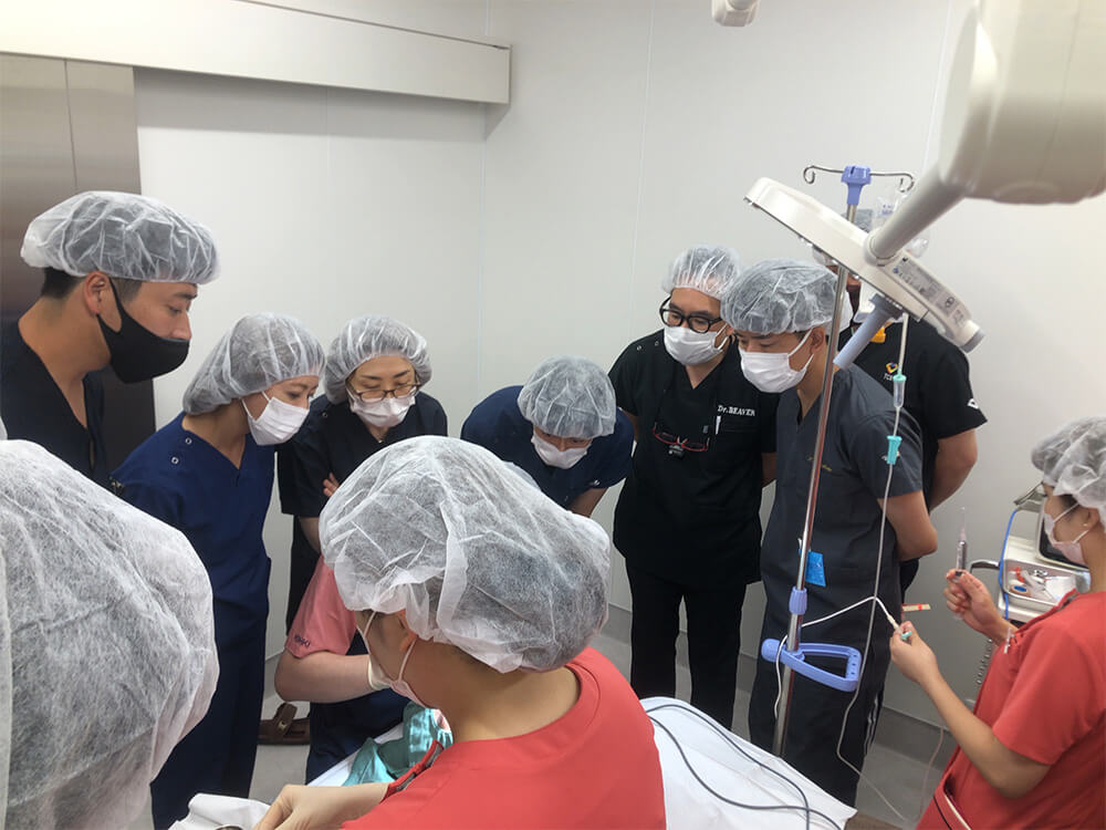 第6回 日本美容外科手術手技研究会