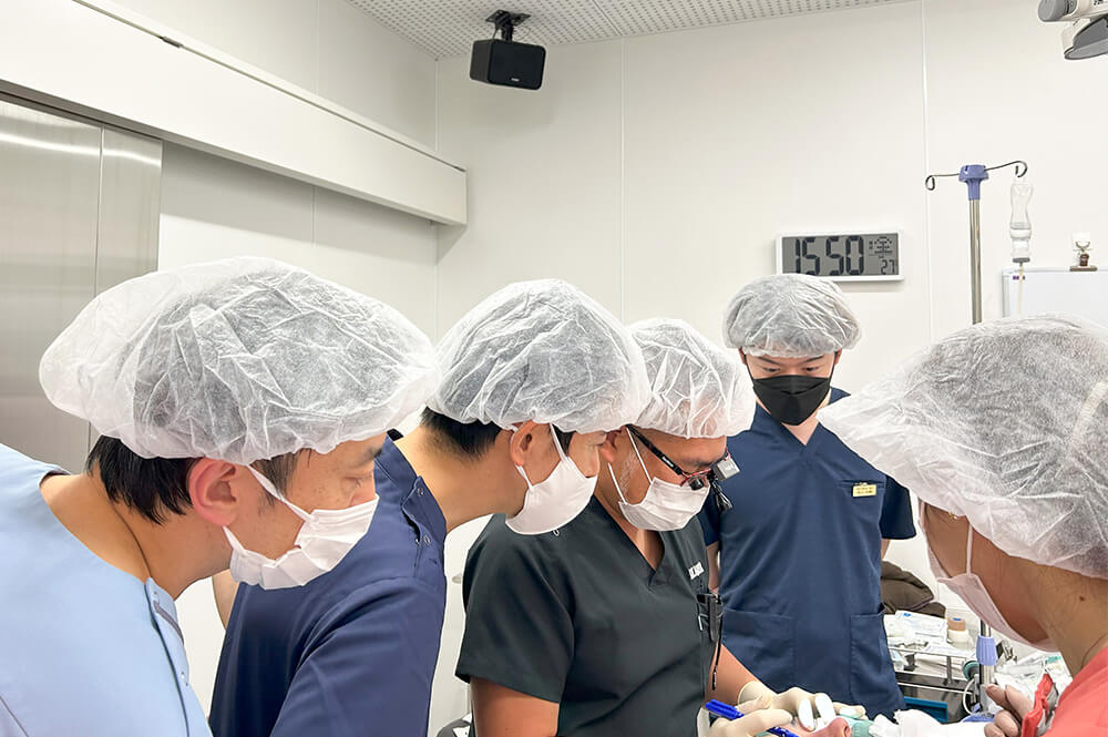 第13回 日本美容外科手術手技研究会